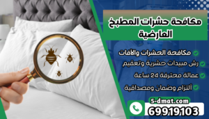 مكافحة حشرات المطبخ العارضية